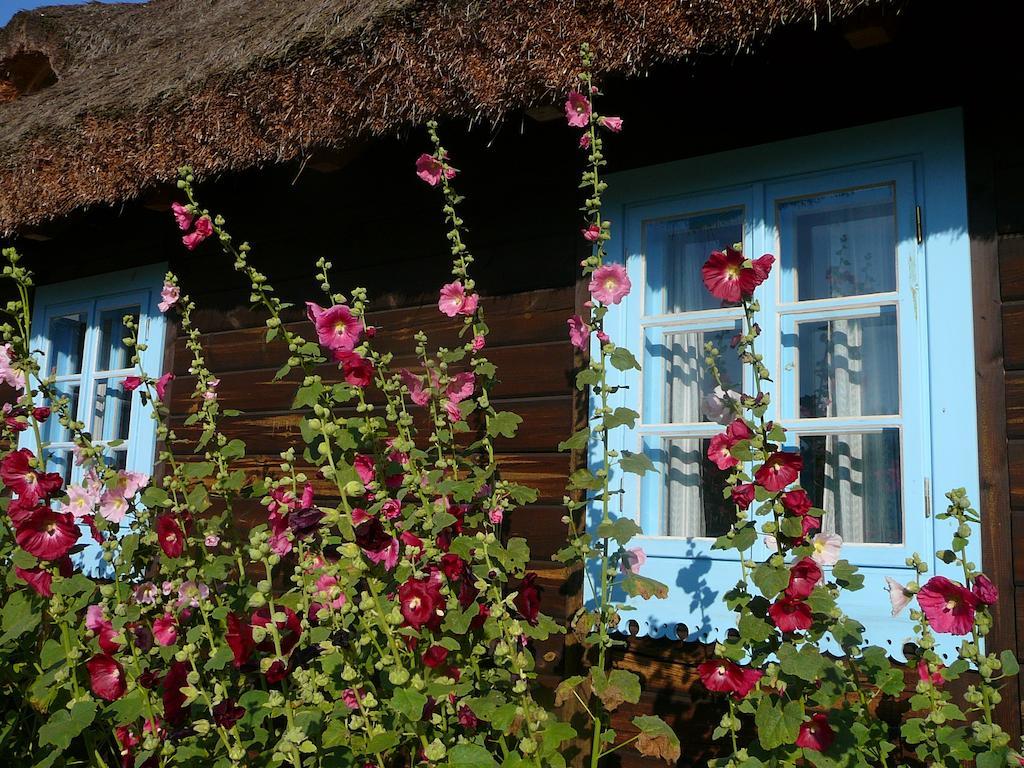 Zagrodowa Osada Villa Kazimierz Dolny Exteriör bild